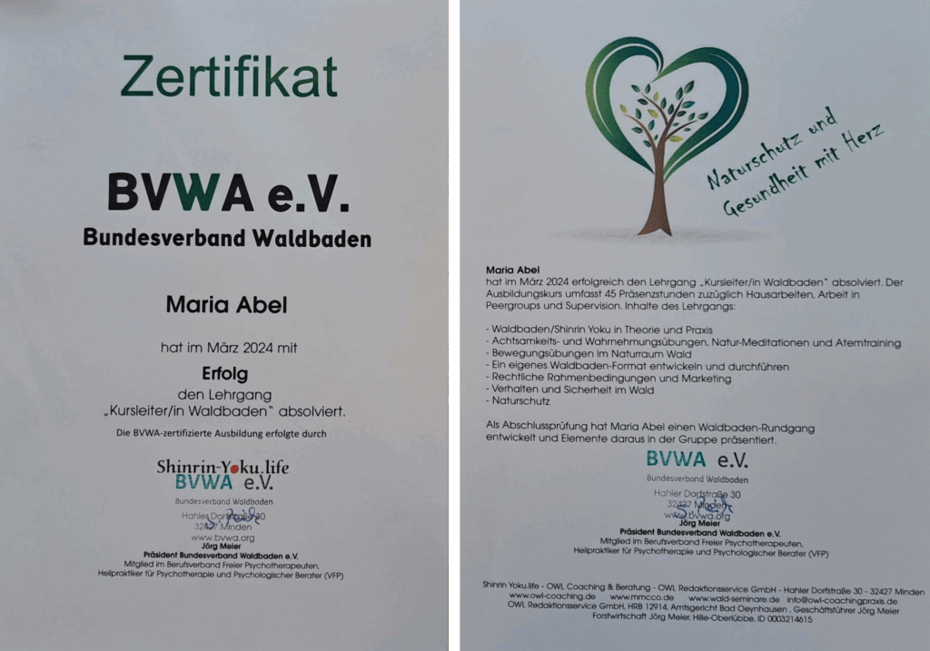 zertifikat